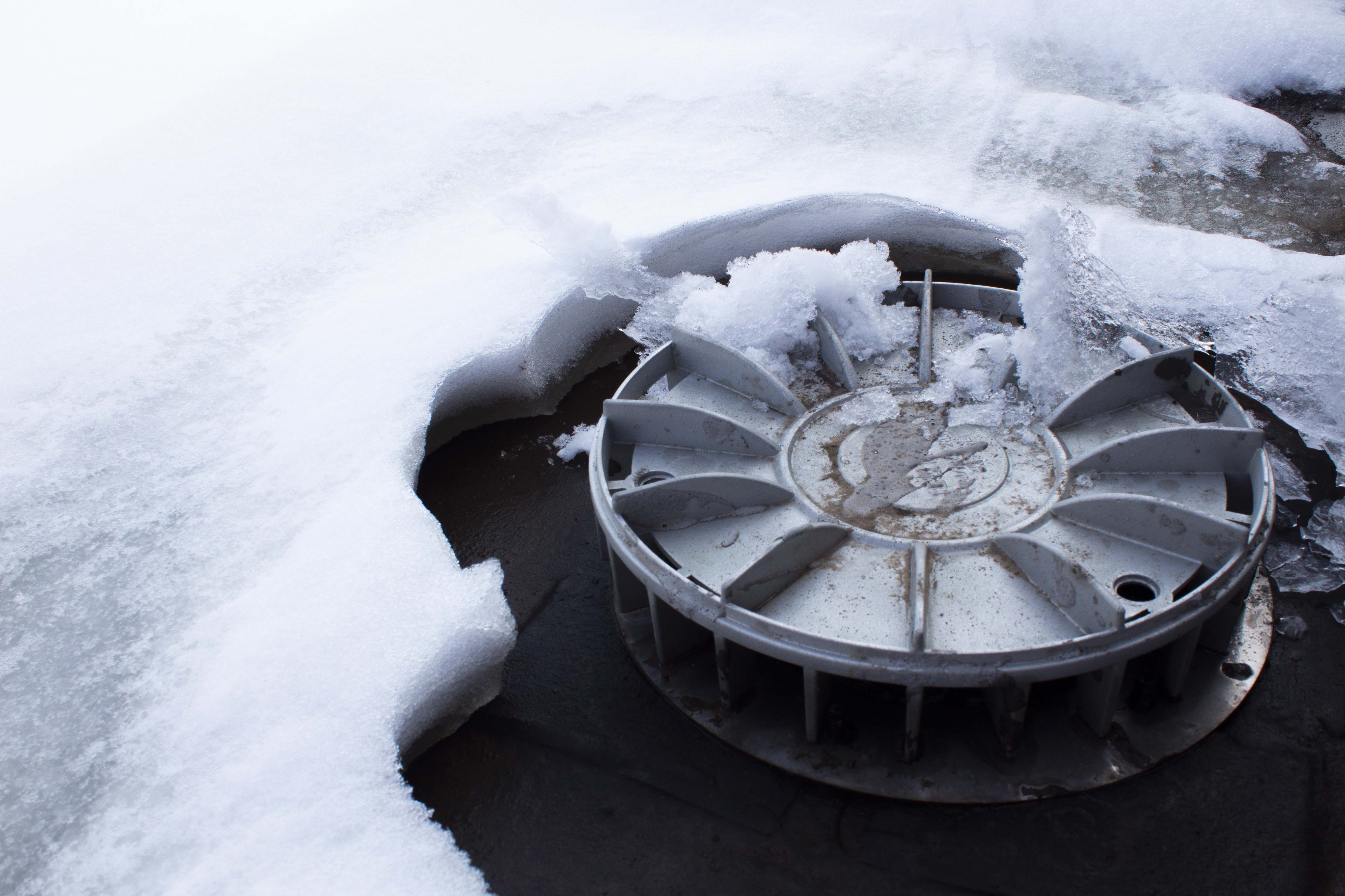 1702438199168684.jpg IMG_0050.jpg